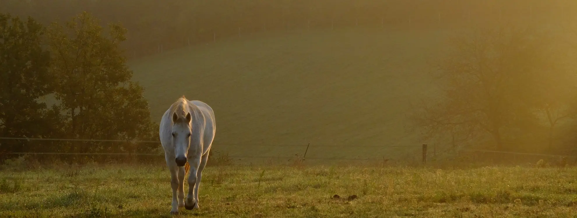 Retour &agrave; l&rsquo;Essence-Ciel.