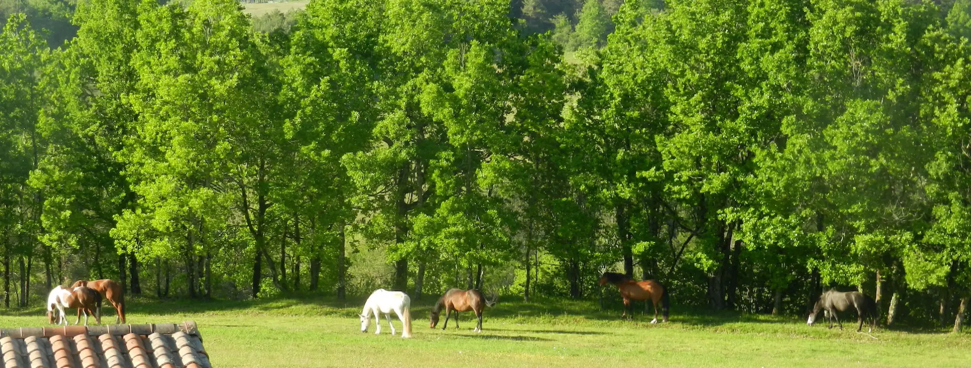 Retour &agrave; l&rsquo;Essence-Ciel.